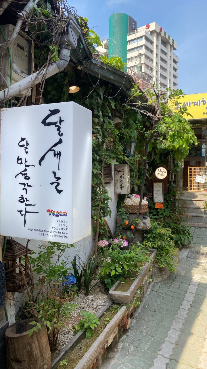 다운로드 (၂၃)