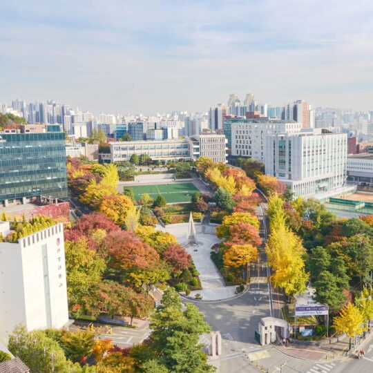 Sogang University