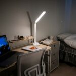 230721-0146 - (스텔라)