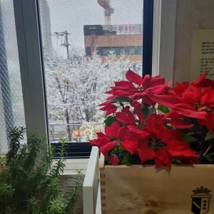 20241127_132627 - qwer son