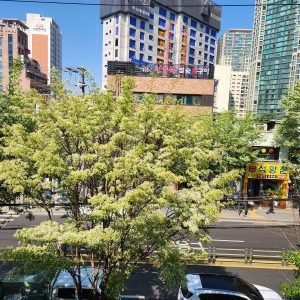 20250428_152553 - qwer son