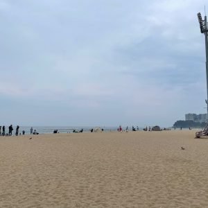 KakaoTalk_Photo_2025-06-05-11-27-06 002