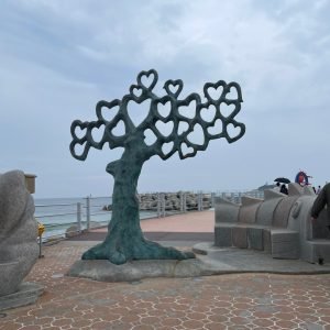 KakaoTalk_Photo_2025-06-05-11-27-07 009