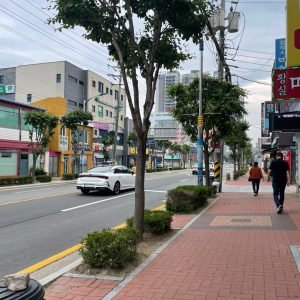 KakaoTalk_Photo_2025-06-05-11-27-09 019