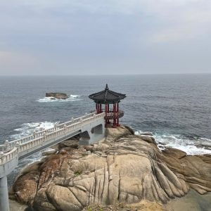 KakaoTalk_Photo_2025-06-05-11-27-10 022