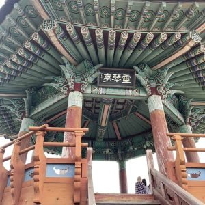 KakaoTalk_Photo_2025-06-05-11-27-10 023