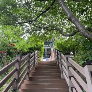 KakaoTalk_Photo_2025-06-05-11-27-11 025