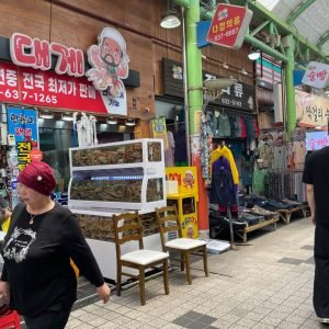 KakaoTalk_Photo_2025-06-05-11-30-52 005