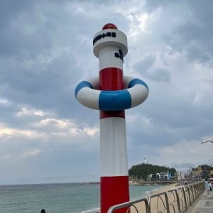 KakaoTalk_Photo_2025-06-05-11-30-53 009