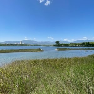 KakaoTalk_Photo_2025-06-05-11-30-54 014